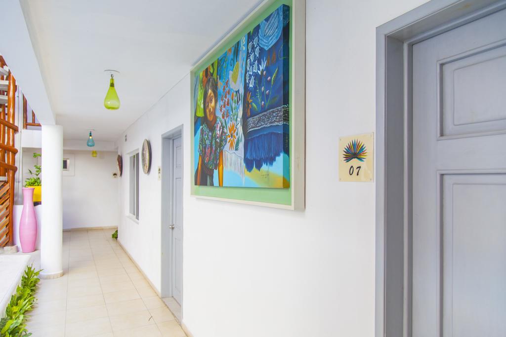 Mestizo Gallery تولوم المظهر الخارجي الصورة