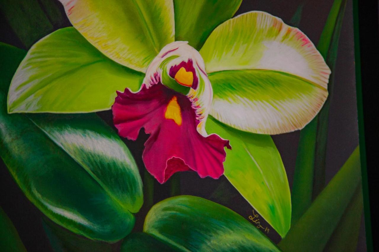 Mestizo Gallery تولوم المظهر الخارجي الصورة